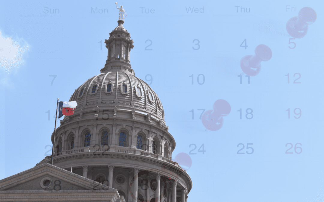 Understanding the Key Deadlines of the 89th Texas Legislature